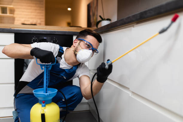 Best Pest Removal Services  in Nellysford, VA