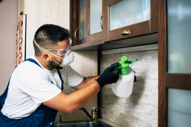 Best Commercial Pest Control Services  in Nellysford, VA