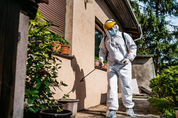 Best Cockroach Control Services  in Nellysford, VA