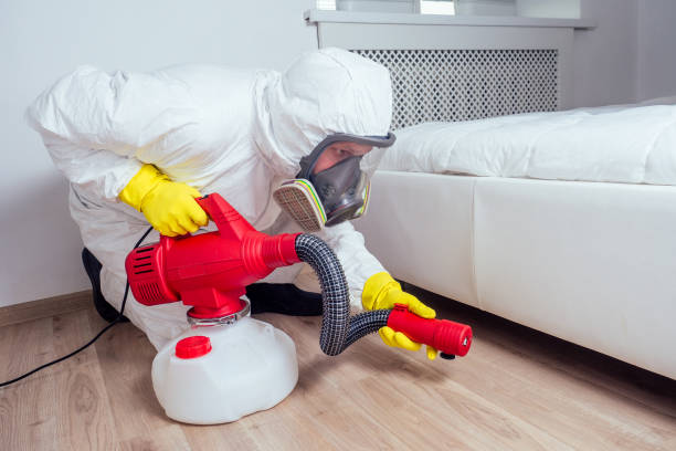 Best Emergency Pest Control  in Nellysford, VA