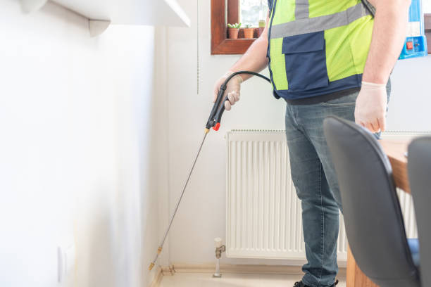 Best Affordable Pest Control Services  in Nellysford, VA