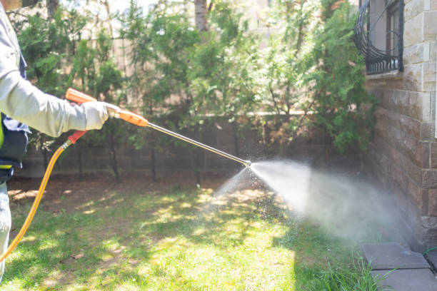 Best Termite Control Services  in Nellysford, VA
